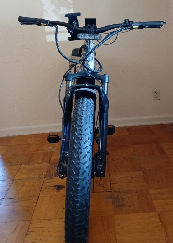 RoughRider front view showing fork and handlebars